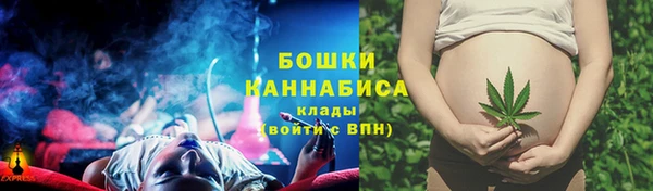 индика Белокуриха
