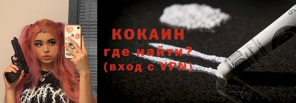 молекула духа Бородино