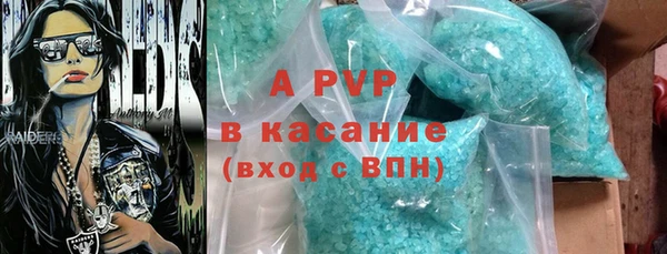 молекула духа Бородино