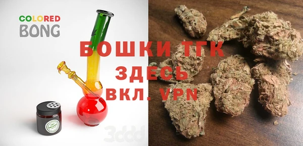 индика Белокуриха