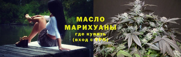 индика Белокуриха