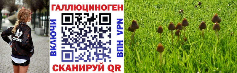 Галлюциногенные грибы мухоморы  Вуктыл 